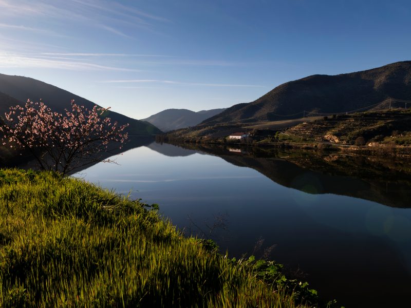 douro_wedding