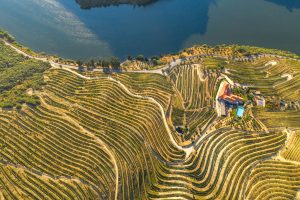 douro valley wedding