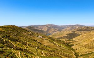 douro valley wedding