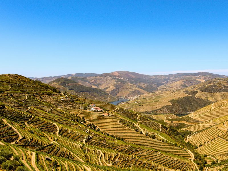 douro valley wedding